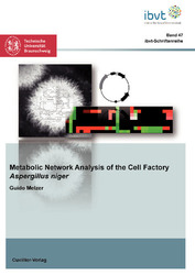 Metabolic Network Analysis of the Cell Factory Aspergillus niger