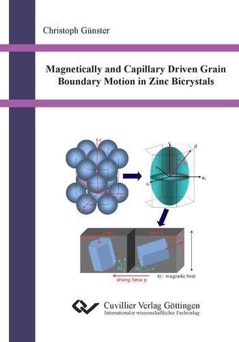 Magnetically and Capillary Driven Grain Boundary Motion in Zinc Bicrystals