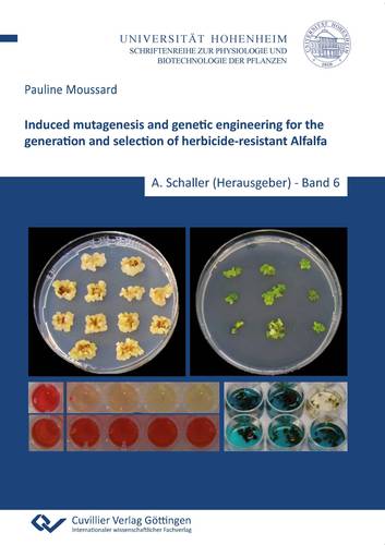 Induced mutagenesis and genetic engineering for the generation and selection of herbicide-resistant Alfalfa