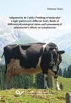Adiponectin in Cattle: Profiling of molecular weight patterns in different body fluids at different physiological states and assessment of adiponectin’s effects on lymphocytes