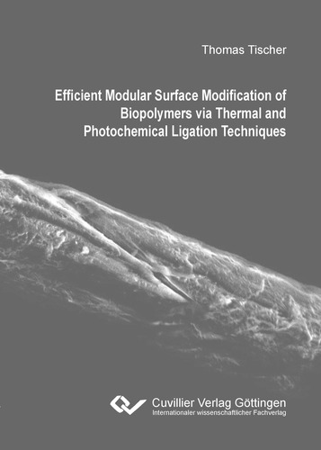 Efficient Modular Surface Modification of Biopolymers via Thermal and Photochemical Ligation Techniques