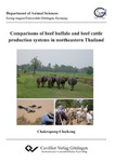 Comparisons of beef buffalo and beef cattle production systems in northeastern Thailand