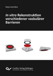 In vitro Rekonstruktion verschiedener vaskulärer Barrieren