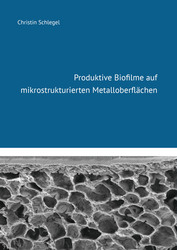 Produktive Biofilme auf mikrostrukturierten Metalloberflächen