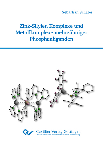 Zink-Silylen Komplexe und Metallkomplexe mehrzähniger Phosphanliganden