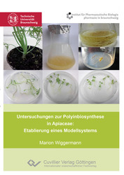 Untersuchungen zur Polyinbiosynthese in Apiaceae: Etablierung eines Modellsystems