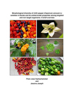 Morphological diversity of chilli pepper (Capsicum annuum L) varieties in Kerala and its antilarvicidal properties among targeted and non target organisms