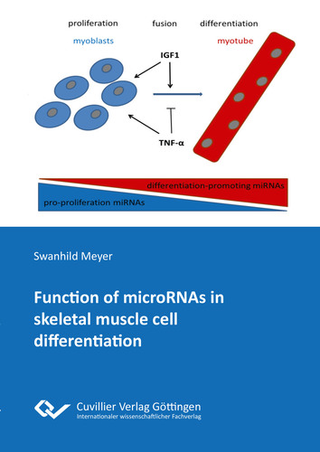 Function of microRNAs in skeletal muscle cell differentiation