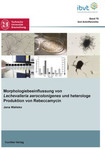 Morphologiebeeinflussung von Lechevalieria aerocolonigenes und heterologe Produktion von Rebeccamycin 