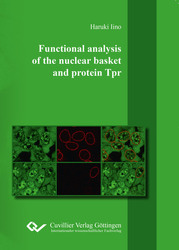 Functional analysis of the nuclear basket and protein Tpr