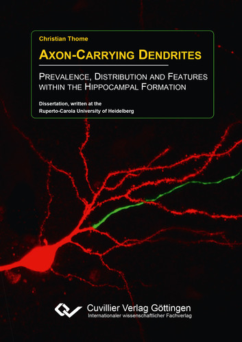 Axon-Carrying Dendrites