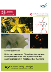 Untersuchungen zur Charakterisierung von Prenyltransferasen aus Hypericum-Arten nach Expression in Nicotiana benthamiana