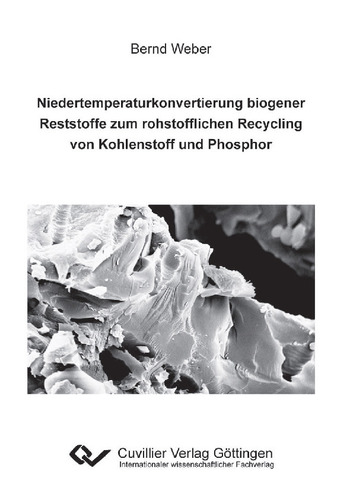 Niedertemperaturkonvertierung biogener Reststoffe zum rohstofflichen Recycling von Kohlenstoff und Phosphor 