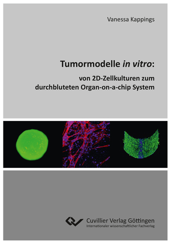 Tumormodelle in vitro