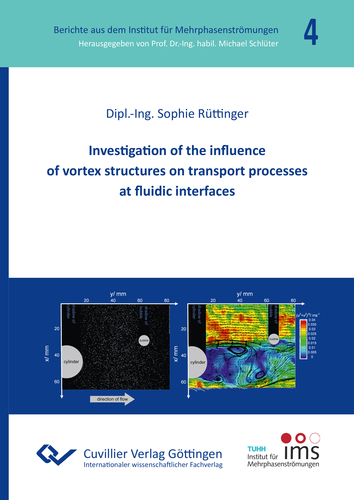 Investigation of the influence  of vortex structures on transport processes at fluidic interfaces