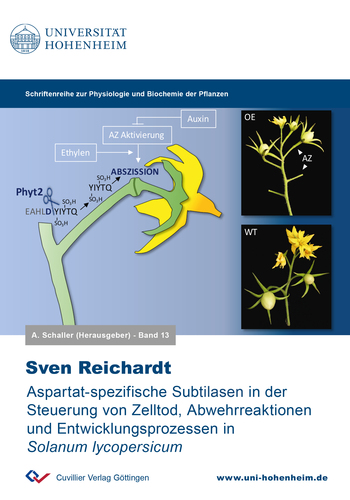 Aspartat-spezifische Subtilasen in der Steuerung von Zelltod, Abwehrreaktionen und Entwicklungsprozessen in Solanum lycopersicum