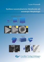 Synthese nanostrukturierter Metalloxide mit anisotroper Morphologie