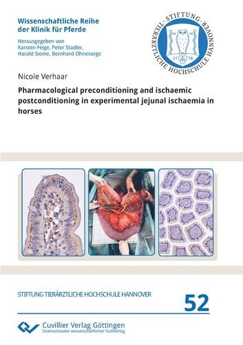 Pharmacological preconditioning and ischaemic postconditioning in experimental jejunal ischaemia in horses