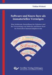 Software und Know-how als immaterielles Vermögen