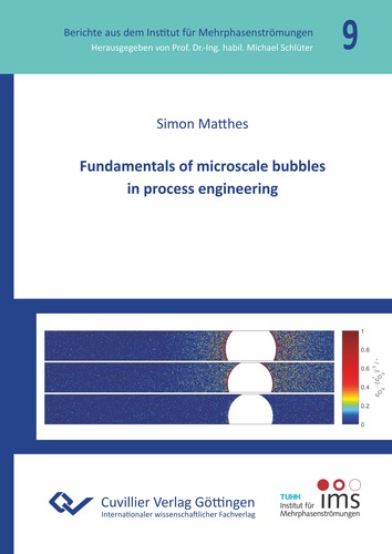 Fundamentals of microscale bubbles in process engineering