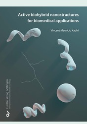Active Biohybrid Nanostructures For Biomedical Applications 