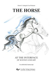 THE HORSE at the interface of science and art