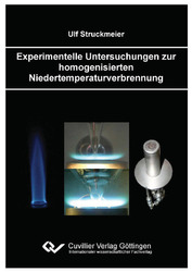 Experimentelle Untersuchungen zur homogenisierten Niedertemperaturverbrennung