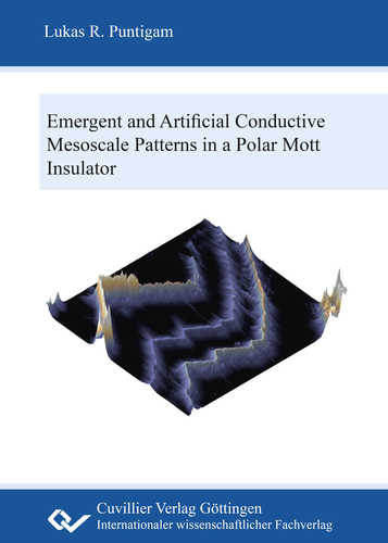 Emergent and artificial conductive mesoscale patterns in a polar Mott insulator