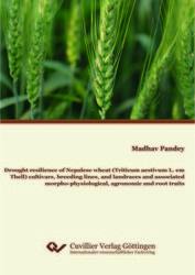 Drought resilience of Nepalese wheat (Triticum aestivum L. em Thell) cultivars, breeding lines, and landraces and associated morpho-physiological, agronomic and root traits
