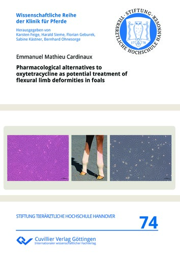 Pharmacological alternatives to oxytetracycline as potential treatment of flexural limb deformities in foals